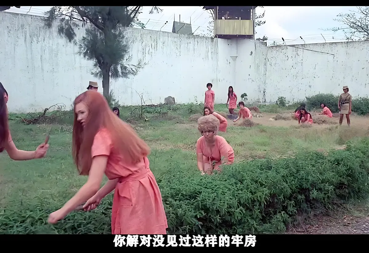 《玩偶屋》全片未删减高清版 - 美国复古犯罪电影 - 手机电脑免费在线观看