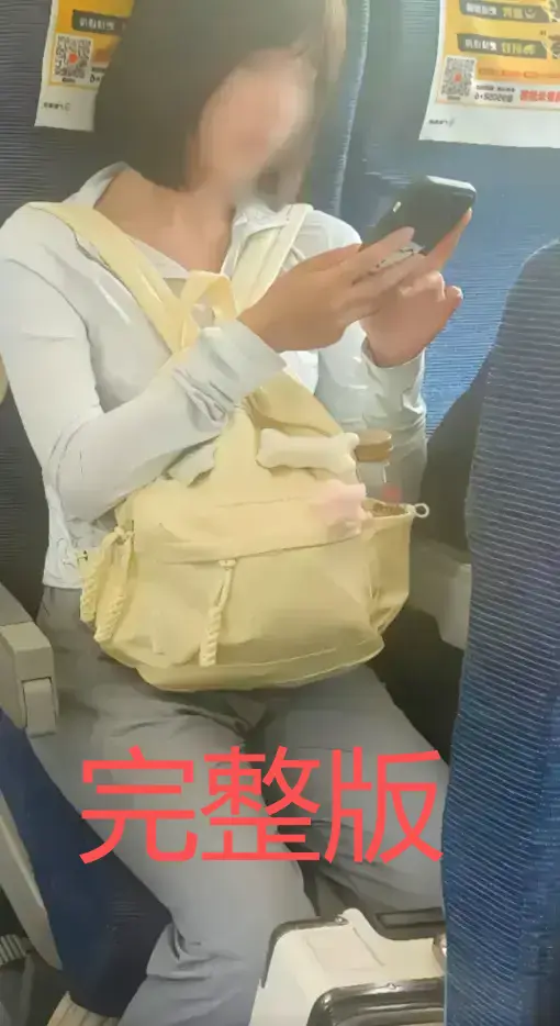 高铁短发女孩原视频完整版-高铁妹子是什么梗60秒视频-高清原视频含迅雷/UC网盘资源-后续更新百度云下载