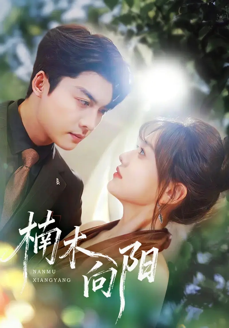 《楠木向阳》全70集完整版 - 1080P高清在线观看 - 热门短剧百度网盘资源免费下载