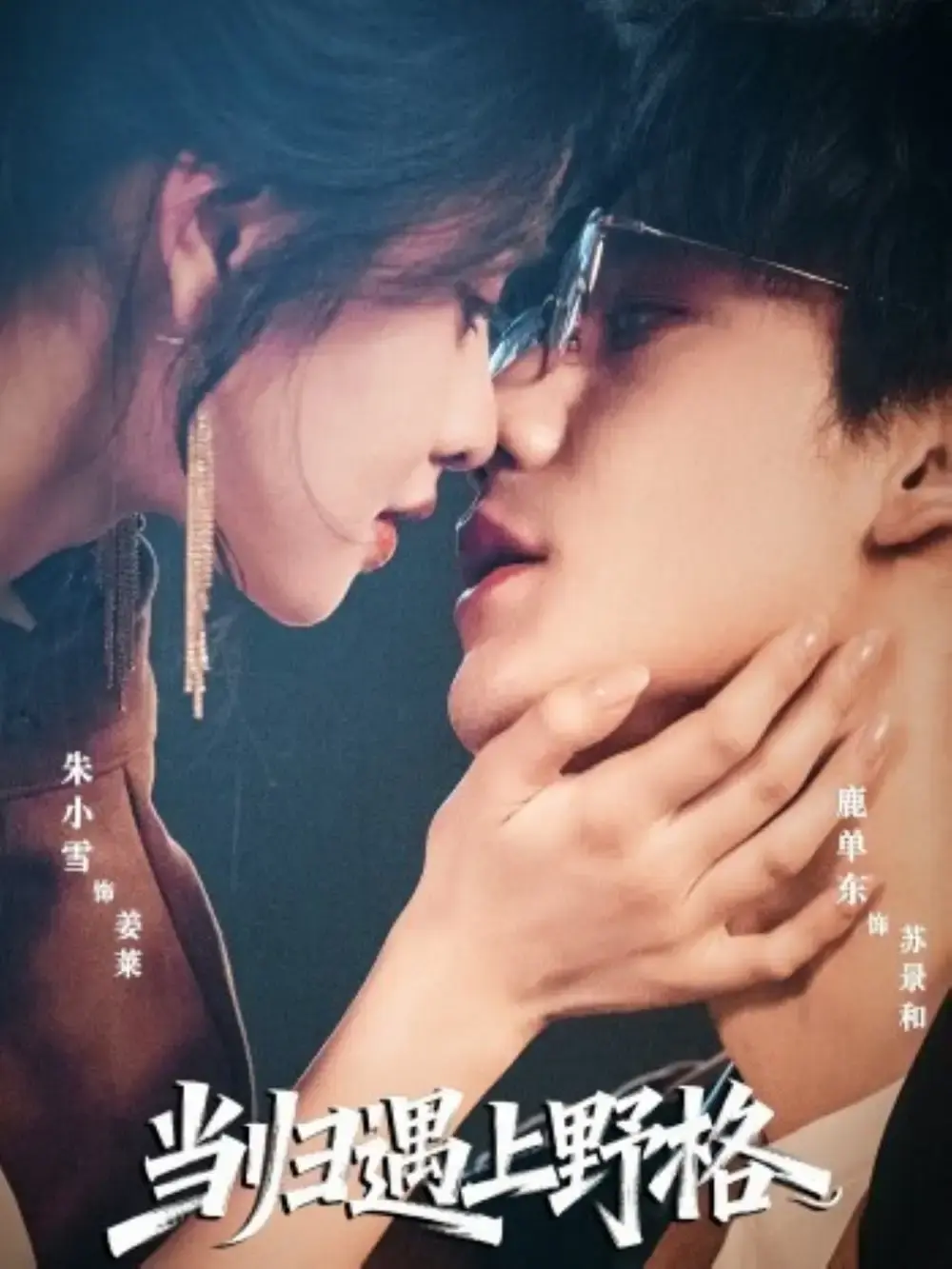 《当归遇上野格》全66集完整版 - 高清无广告在线播放 - 爱情短剧资源免费下载