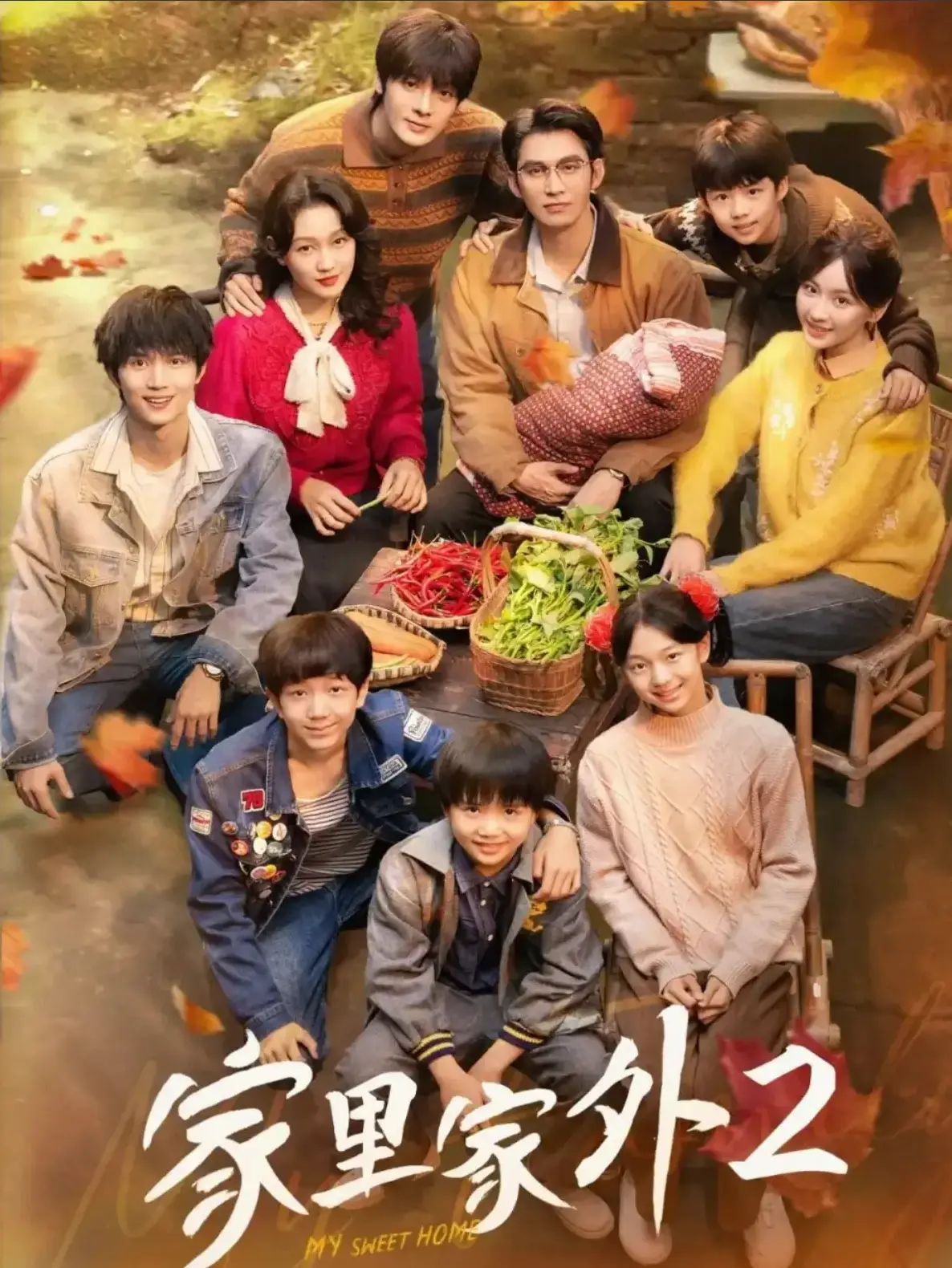 《家里家外2》完整版资源免费看 - 国产短剧高清全集 - 手机在线播放流畅不卡顿