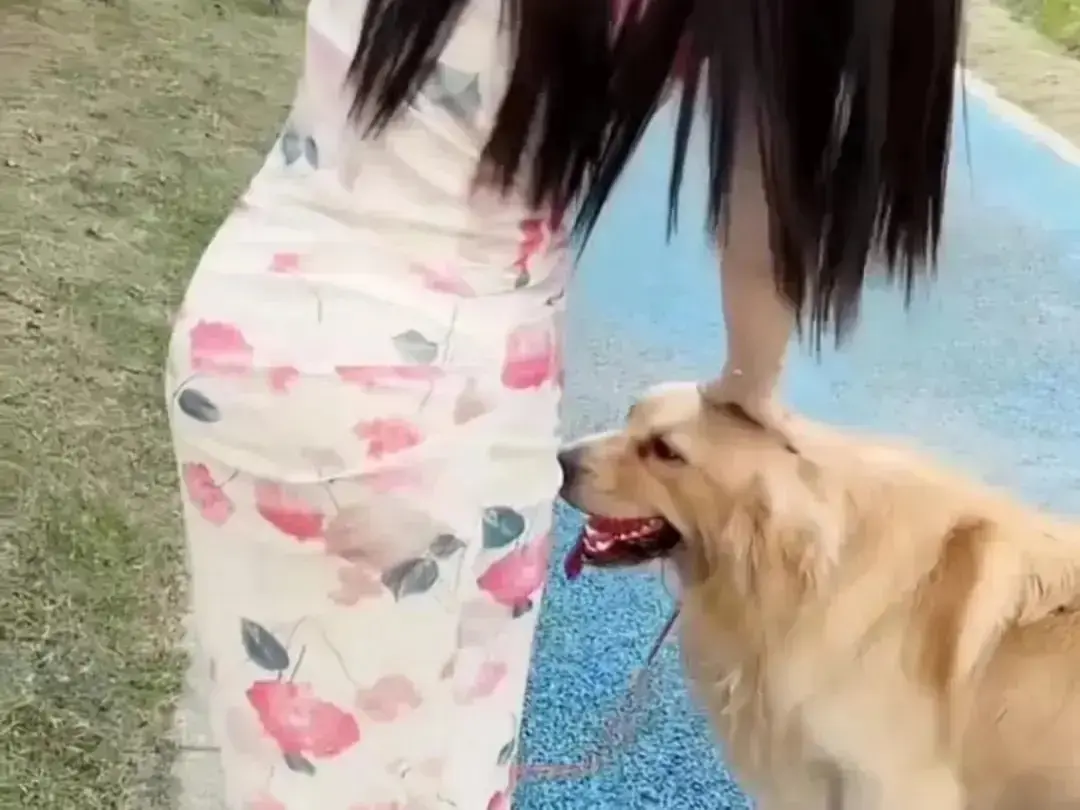 《抖音香香公主与爱犬金毛》高能日常互动个人珍藏完整版在线高清免费观看-抖音香香公主与爱犬金毛直播回放无广告网盘资源免费秒播-在线吃瓜