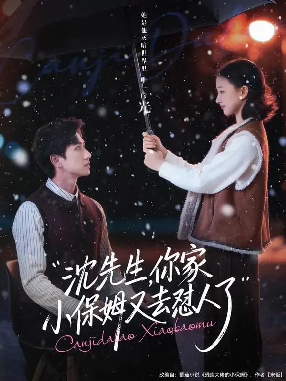 《沈先生，你家小保姆又去怼人了》HD高清免费观看-陈政阳廖银玥主演短剧全集-沈先生你家小保姆又去怼人了无广告在线播放