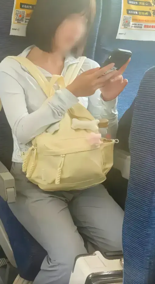 《高铁短发女孩原视频》高清完整版-54秒高铁女孩视频走红-网盘视频资源下载-百度云/夸克迅雷阿里云分享