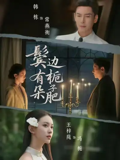 《鬓边有朵栀子肥》全30集未删减免费看-2025年4K超清完整版-《鬓边有朵栀子肥》高清HD在线观看无广告-百度云/迅雷网盘下载