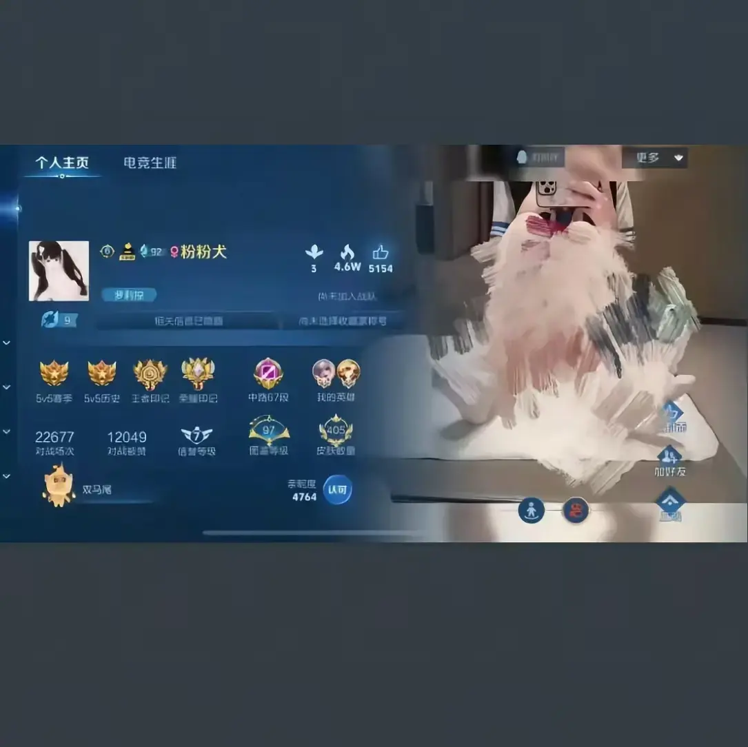 《粉粉犬王者荣耀主页》全内容免费看 - 粉粉犬王者视频皮肤攻略 - 国标技巧高清流畅-流星影院