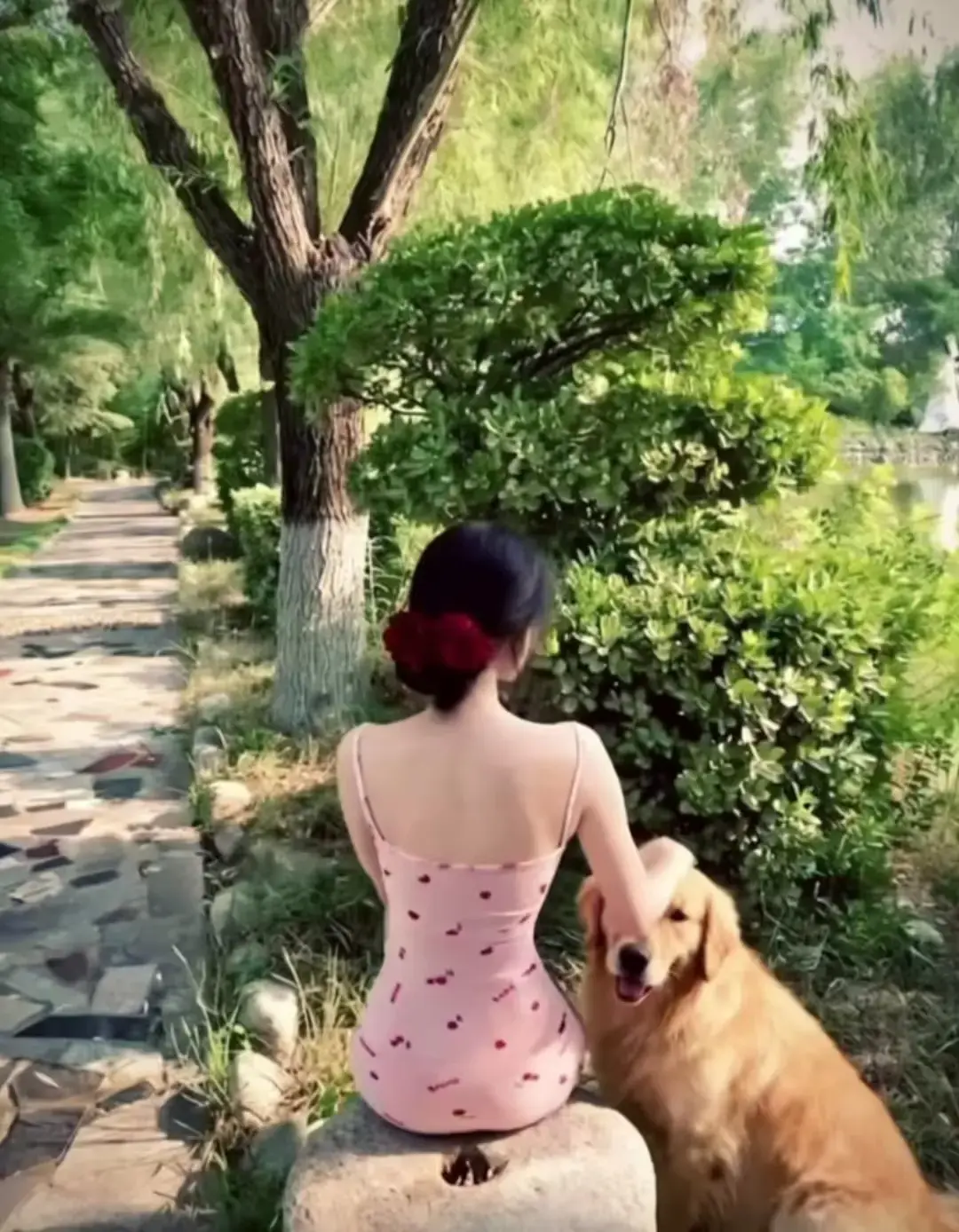 香香公主与金毛爱犬高能瞬间完整版在线观看 - 1080P高清无删减 - 三集连播见证跨物种深情