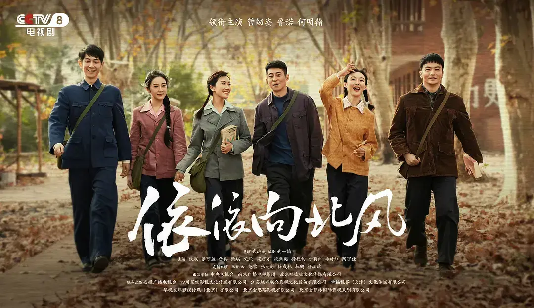 《依依向北风》国产剧全集在线观看 - 高清画质流畅播放 - 无删减完整版网盘资源