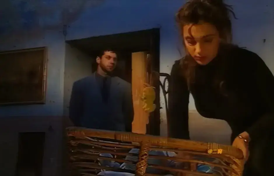 《那不勒斯风格的剧本》1080P高清全集在线看-1994版《Sceneggiata Napoletana》未删减版完整中字-赛仑selen主演意大利经典电影网盘资源