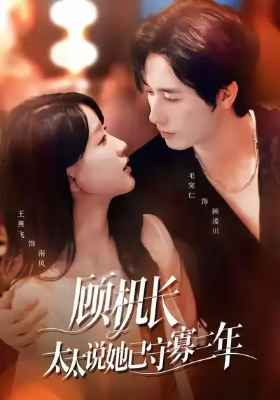 南风顾凌川《顾机长，太太说她已守寡三年》短剧全集_免费在线观看高清版_飞机事故后心死剧情完整呈现