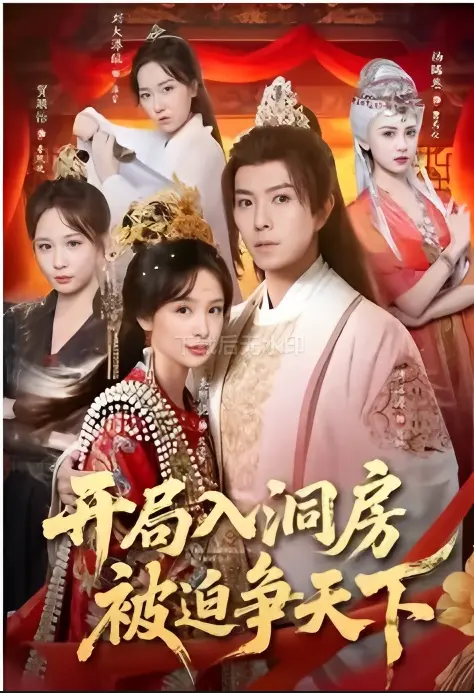 《开局入洞房，被迫争天下》完整版短剧 - 高清在线观看未删减 - 免费播放无广告资源