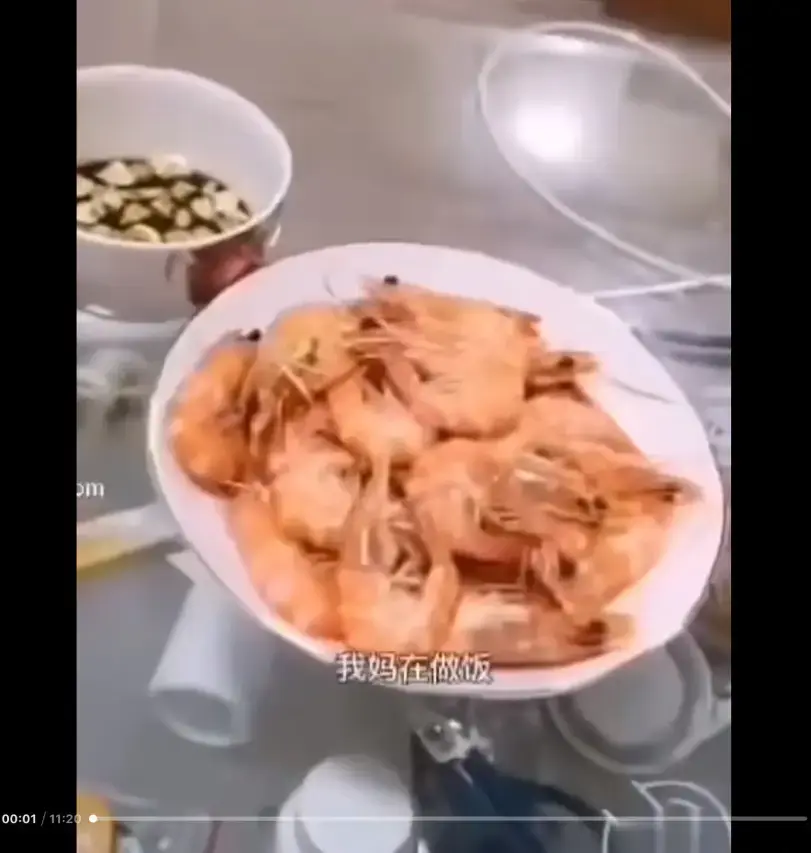《大虾母子厨房完整版》高清视频揭秘-猎奇视频梗解析-免费在线观看网盘资源