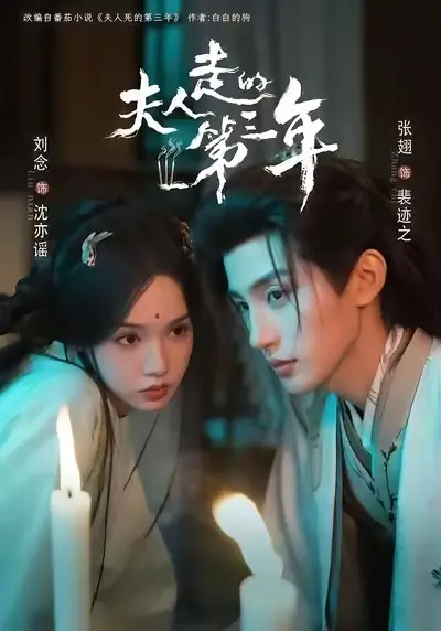 《夫人走的第三年》未删减全集免费在线看-夫人走的第三年高清完整版资源-网盘下载与HD在线播放