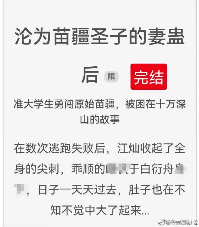 《沦为苗疆圣子的妻蛊后》免费阅读-txt下载-沦为苗疆圣子的妻蛊后全文完结版资源在线阅读