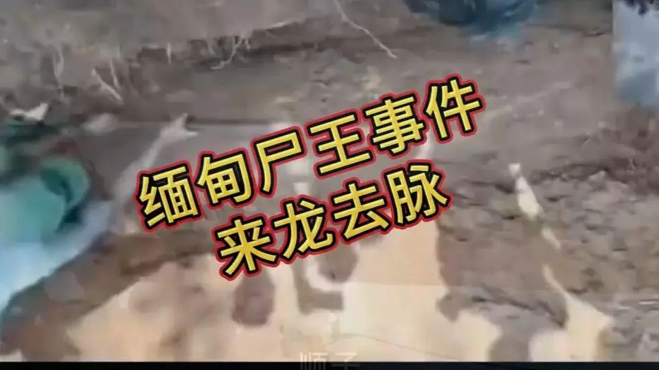 《缅甸僵尸出土事件视频》诡异真相解密-完整版资源在线观看免费播放-缅北僵尸出土事件始末原视频高清下载
