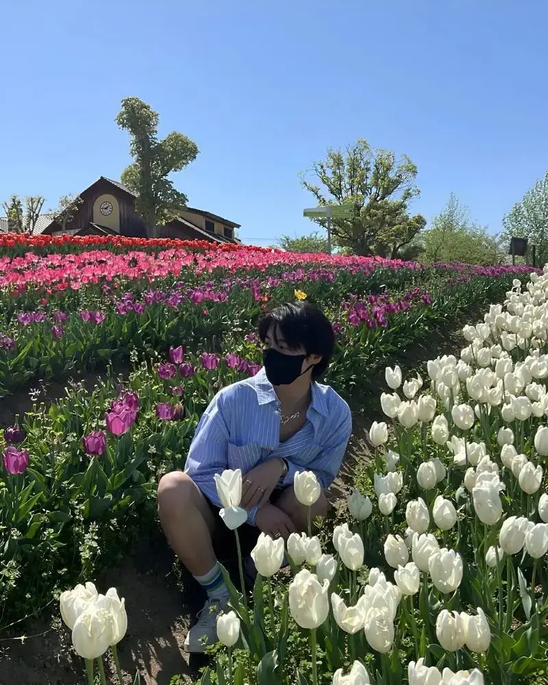 花臂夫妇/花臂凉太全集播放-《花臂夫夫》完整版免费资源-高清无删减TXT下载